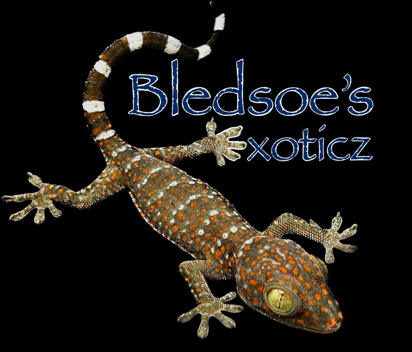 Bledsoe's Exoticz
